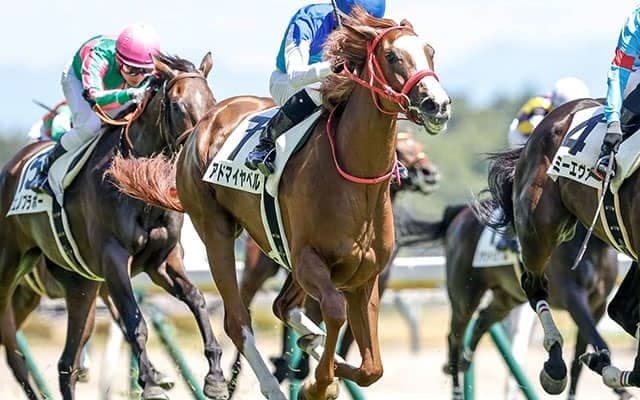 【フローラS予想オッズ】アドマイヤベルが予想1番人気