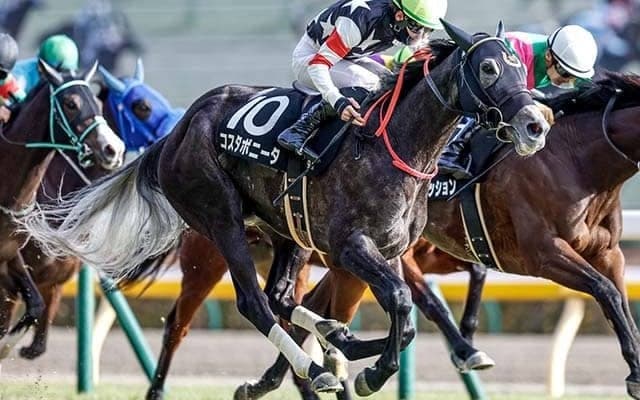 【福島牝馬S予想オッズ】コスタボニータが予想1番人気