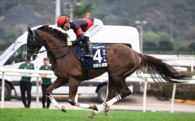 【マイラーズC予想オッズ】セリフォスが予想1番人気