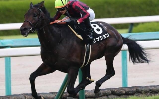 “セッションの法則”では好走間違いなし!? 相性抜群の鞍上とマイラーズC参戦