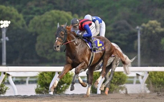 【高知・二十四万石賞】怒涛の12連勝！ユメノホノオが完勝…吉原「良い競馬でした」