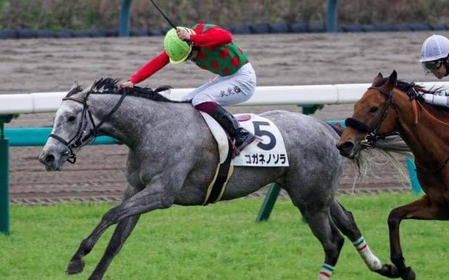 近親に重賞馬多数のゴールドシップ産駒 ビッグレッドファーム出身馬のフローラS連覇へ