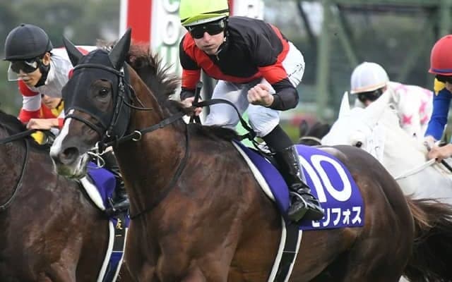 GI馬が出走機会4連勝中のマイラーズC メンバー唯一のGI馬が復活期す