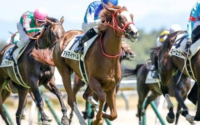 【フローラS予想】AIはちょっと意外な一頭推奨 格上挑戦ながらそれなりに支持も