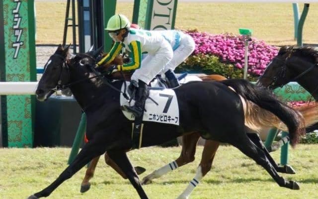 【マイラーズC展望】開幕週でスピード必須、若い馬に期待したい