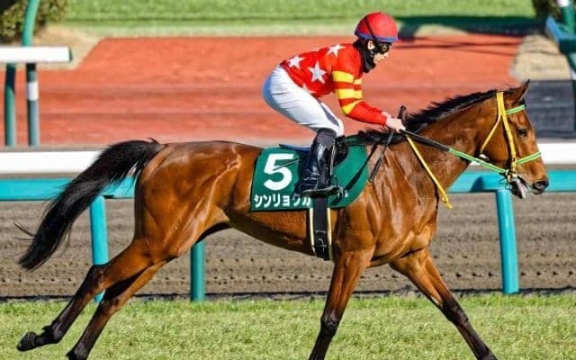 【福島牝馬S出走馬・騎手確定】シンリョクカ＆木幡初也騎手、コスタボニータ＆岩田望来騎手など16頭