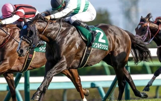 【マイラーズC出走馬・騎手確定】ソウルラッシュ＆松山弘平騎手、セリフォス＆川田将雅騎手など17頭