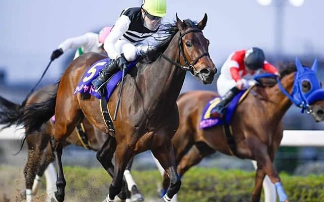 【浦和・しらさぎ賞結果】ツーシャドーが好位から押し切り重賞初制覇！