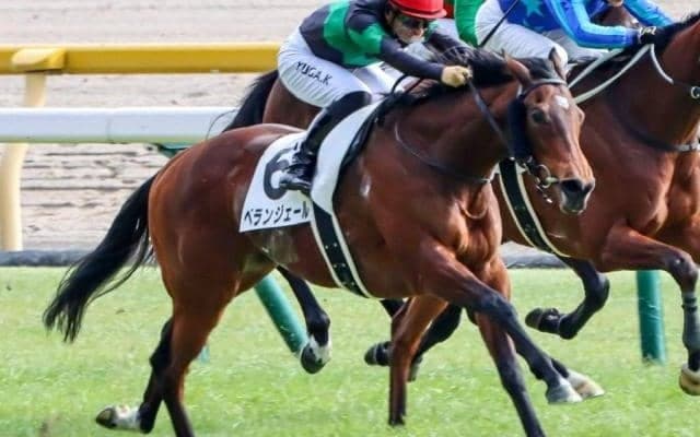 叔母にGI・2着馬、叔父に4.5億円馬 名牝モシーンの孫が待望の初勝利へ