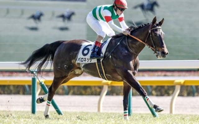 【フローラS枠順確定】バロネッサは1枠1番、アドマイヤベルは5枠8番