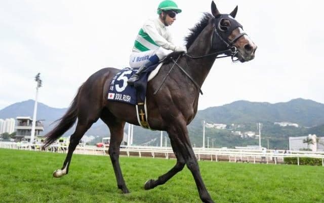 【マイラーズC枠順確定】ソウルラッシュは7枠14番、セリフォスは2枠3番