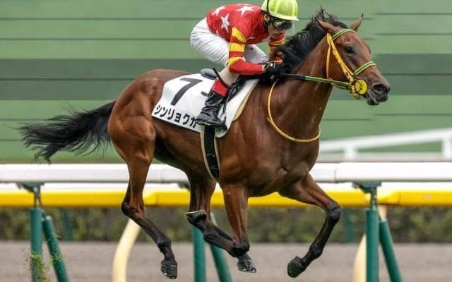 【福島牝馬S予想】フレッシュさよりもキャリア 高配の使者はレース経験豊富な馬にあり