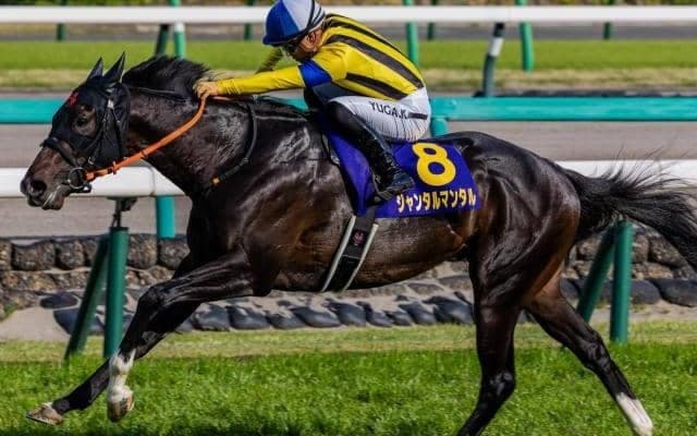 【NHKマイルC想定馬・騎手】ジャンタルマンタル、アスコリピチェーノなど27頭