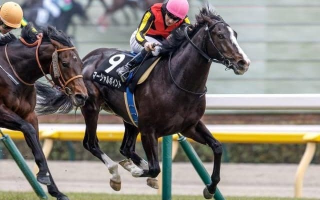 【青葉賞想定馬・騎手】マーシャルポイント、シュガークンなど18頭