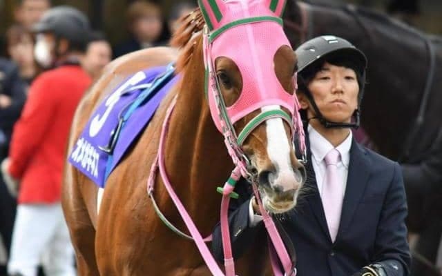 GIで1番人気敗戦からの巻き返しへ オメガギネスがオアシスSで必勝期す