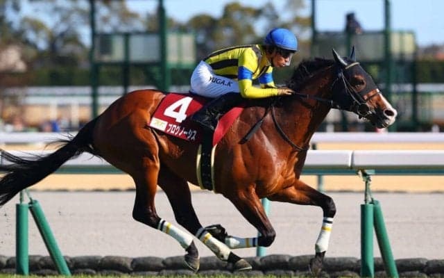 香港チャンピオンズデー 日本馬4頭が香港に到着