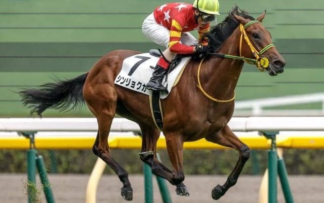 【今日の注目ポイント】福島牝馬Sと東西でダートのオープン競走