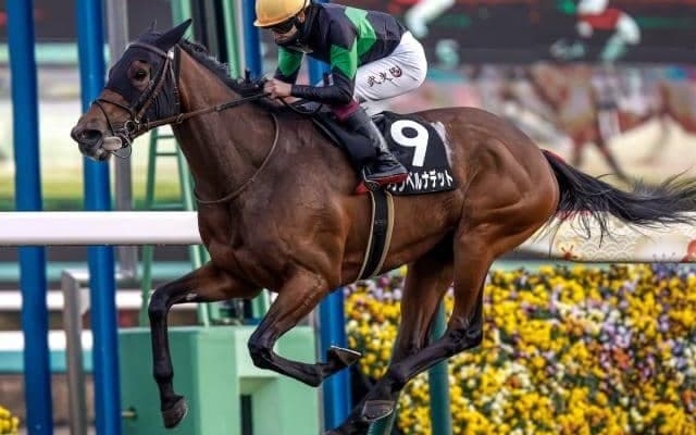 【福島牝馬S予想】過去10年で1番人気が未勝利 今年も人気通りにはいかない？