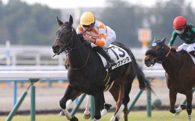 オークスのトライアル、ＧⅡフローラＳで注目の「血統のレベルが高い」２頭とは？