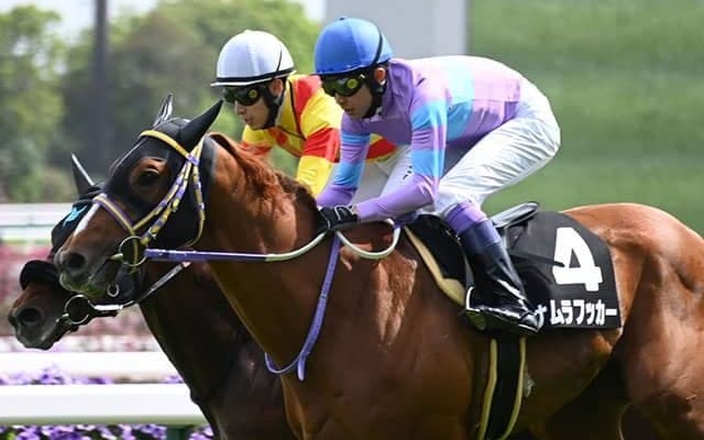 【あやめ賞結果】2番人気ナムラフッカーが直線一気でV