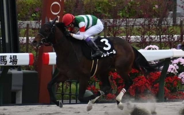 【天王山S結果】武豊騎手騎乗のジレトールが快勝