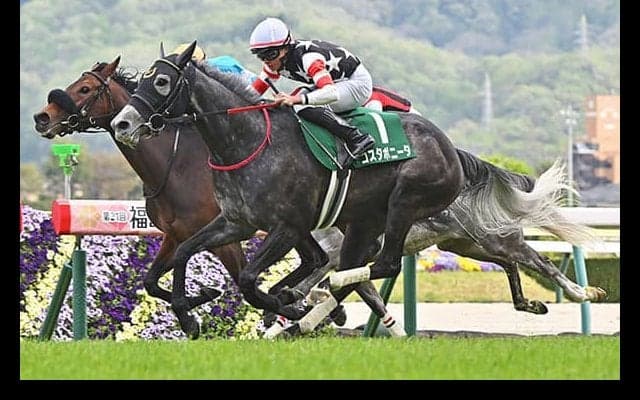 【福島牝馬S結果】コスタボニータがゴール前で差し切り重賞初V