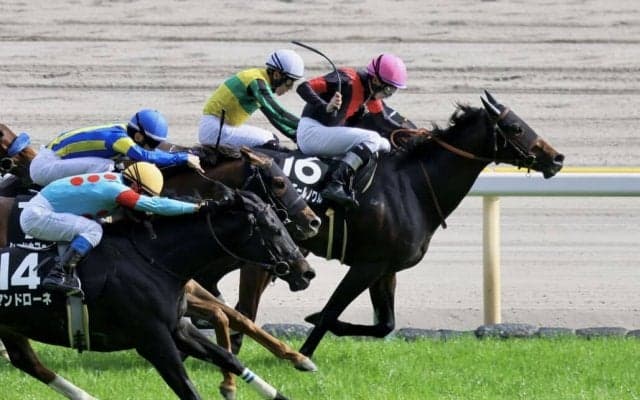 【湘南S】リュミエールノワルが3連勝でオープン入り