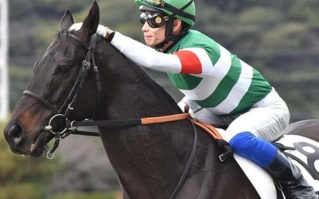 全兄は日本ダービー馬レイデオロ アルマドラードが障害初勝利なるか