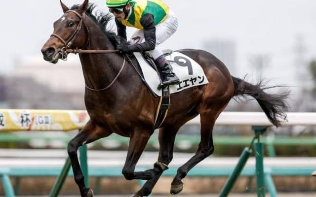 【マイラーズC予想】格がものをいう一戦 前走クラスに注目したいマイル重賞