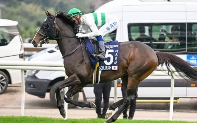 【マイラーズC前日オッズ】ソウルラッシュが2.6倍で1番人気