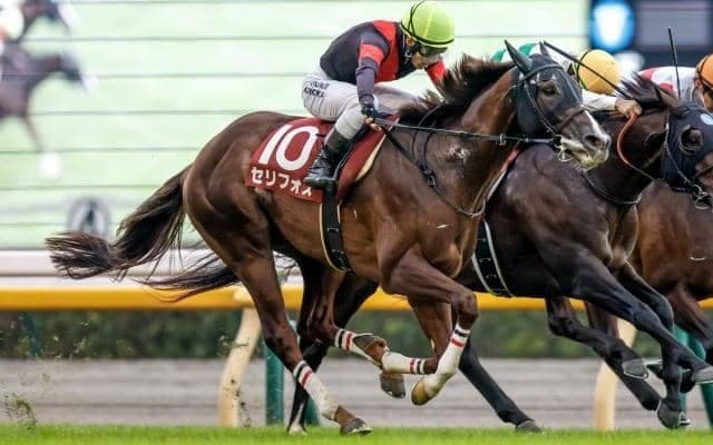 【AI予想・マイラーズC】二強ムードが漂うGI前哨戦！ 人工知能は実力馬の巻き返しに太鼓判