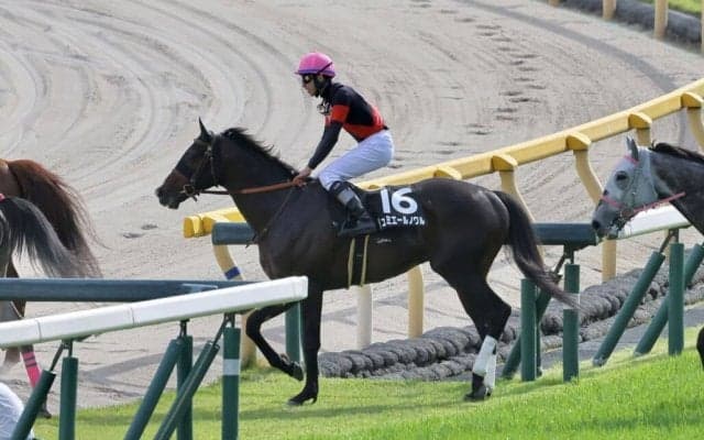 【湘南S】横山和「内から来たらもうひと伸びしてくれた」リュミエールノワルが3連勝