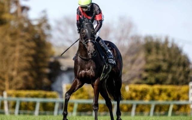【今日の注目ポイント】東京でフローラSと京都でマイラーズC
