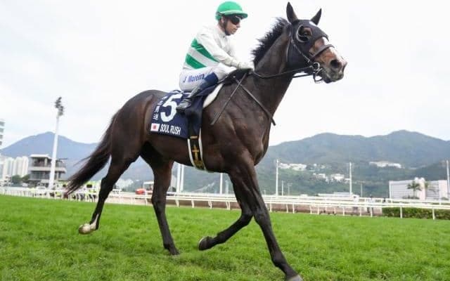 【マイラーズC予想】京都開幕週に行われる安田記念ステップ 決め手が上位進出のカギに