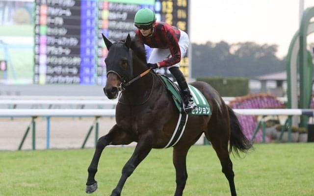 開幕週の鉄則が通用しないマイラーズＣ 穴党記者推奨の伏兵２頭が「２強」を脅かす!?