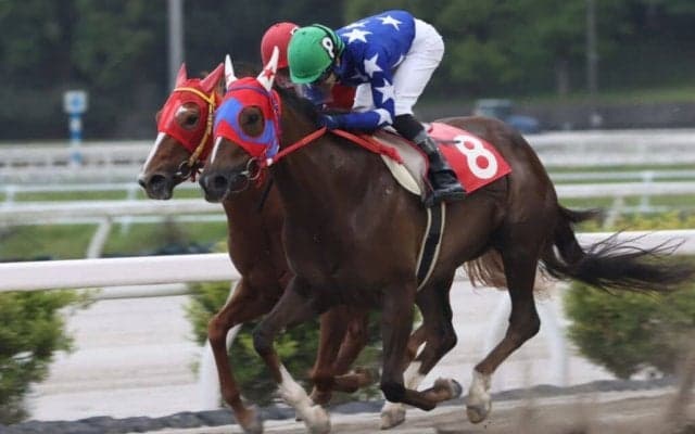 【高知・スピカ特別】ルピナステソーロが好位から抜け出す…澤田「作戦通り」