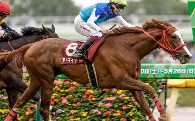 【JRA・WIN5】本日のWIN5は的中107票、配当426万820円