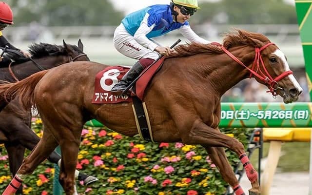 【フローラS結果】アドマイヤベルが抜け出し重賞初制覇