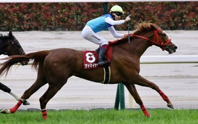 【フローラS】アドマイヤベルがオークスの権利獲得