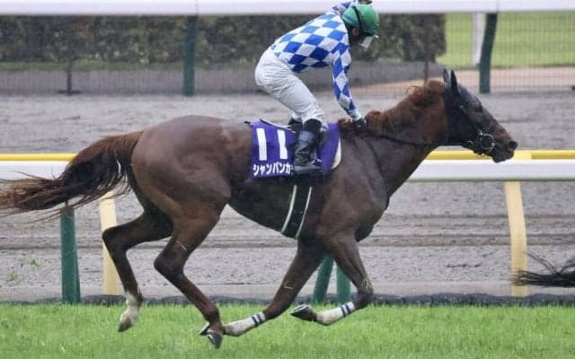 香港チャンピオンズデー 日本馬3頭が香港に到着…シャンパンカラーなど