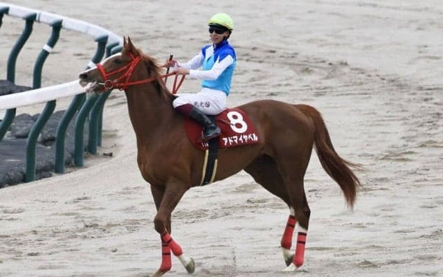 【フローラS】横山武「2400mでも問題ないと思う」アドマイヤベルがオークスの権利獲得