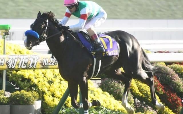 長距離王者決定戦・天皇賞(春)など3重賞/今週の競馬界の見どころ