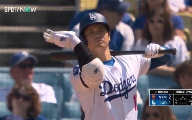 虫にも好かれる大谷翔平 コアなファンは自打球に続く“快音フラグ”と喜ぶ珍現象「虫が来るとよく打つ」