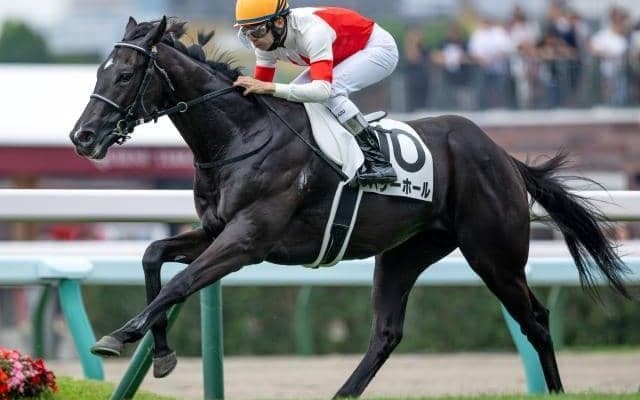 【青葉賞見どころ】スムーズに立ち回れれば強さを発揮するパワーホールが狙い目