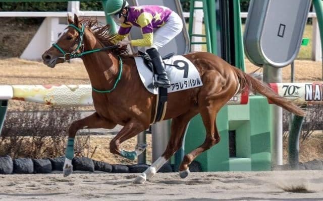 【ユニコーンS見どころ】怒涛の末脚でアラレタバシルが強敵を一蹴するか