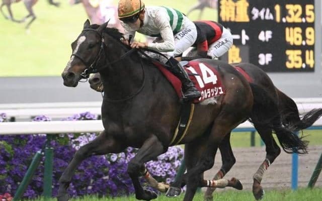 【マイラーズC】売上は65億9242万9900円で昨年より約2.8億円減少