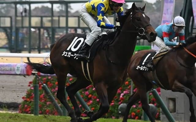 【青葉賞想定騎手】シュガークンは武豊騎手、トロヴァトーレは横山武史騎手