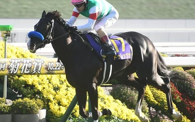 【天皇賞(春)想定騎手】ドゥレッツァは戸崎圭太騎手、テーオーロイヤルは菱田裕二騎手