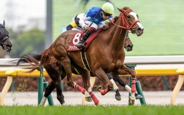 アドマイヤベルが樫行き切符を獲得 血統に秘められた注目の配合パターンとは