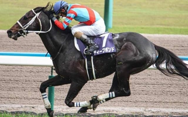 4度目の正直なるか“GI未勝利の賞金王”が悲願の春の盾獲得へ